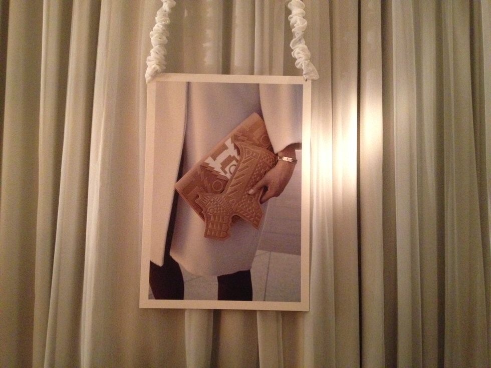 Holly Fulton for Radley