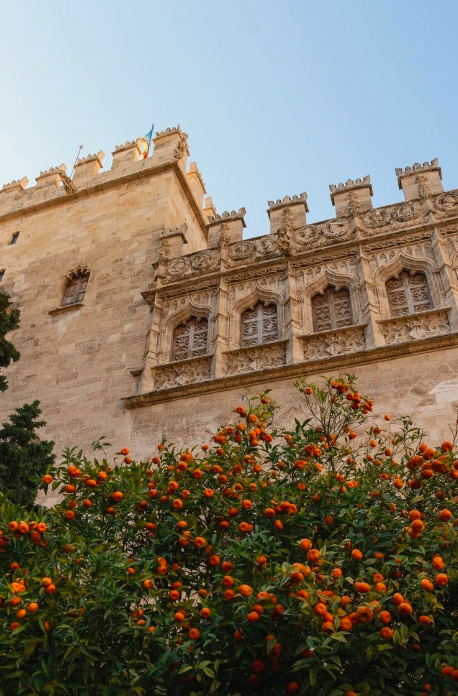 valencia-early-summer-holiday