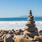 wellness-mindful-living